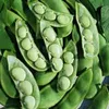Best Price Large Lima Beans