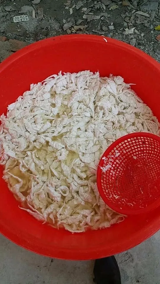 Dried Fish Maw/ Swim Bladder (asap +84376540581) Buy Dried Fish Maw