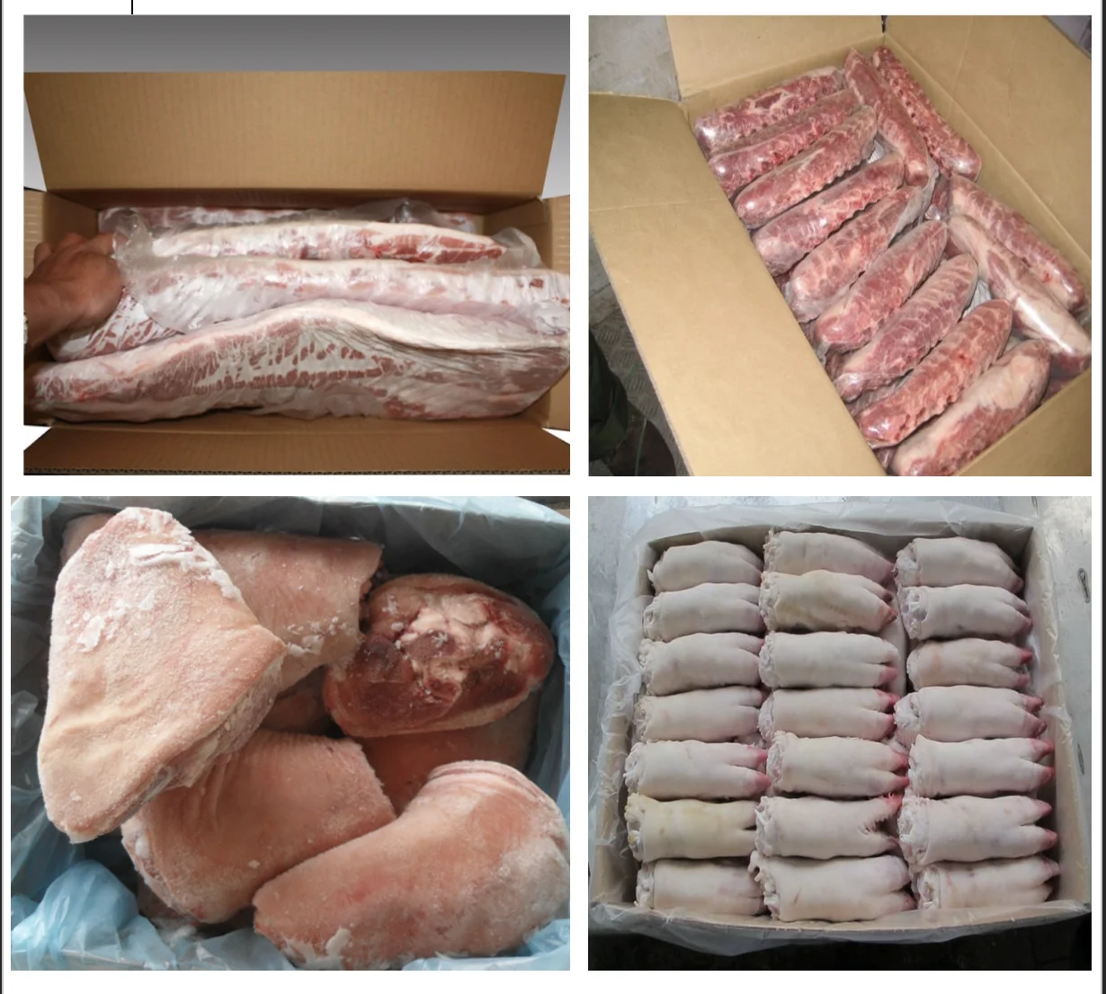 冷冻猪肉前蹄、猪肚、排骨准备供应巴西原产地