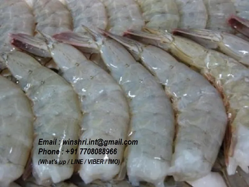 Iqf Raw Frozen Headless Shrimp From India - Buy Iqf Block Frozen ...