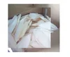 WHOLESALE CUTTLEFISH BONE BULK- BEST PRICE AND QUALITY FROM VN/ CUTTLE FISH BONE POWDER FOR ANIMAL FEED Ms Regina +84 978809521