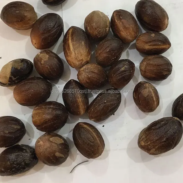 export quality indonesia spice whole nutmeg with round shape