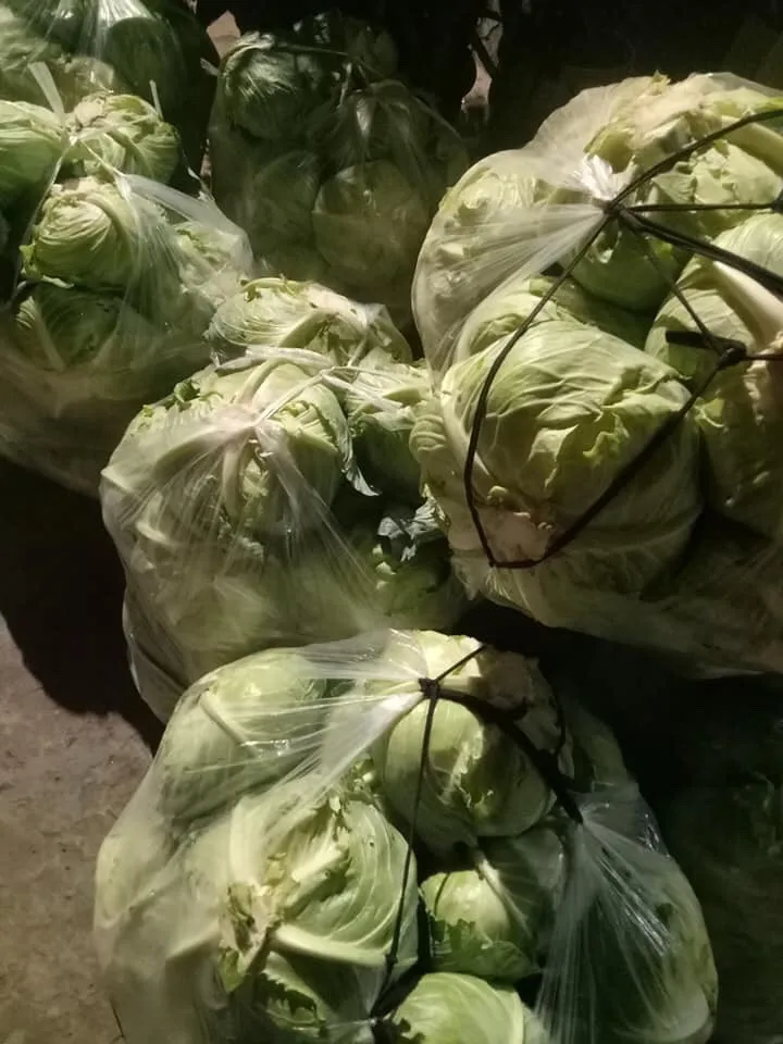 Cabbage Price In 2018 Buy Cabbage Price Per Pound,Cabbage Price At