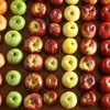 Fresh Apples Fruits