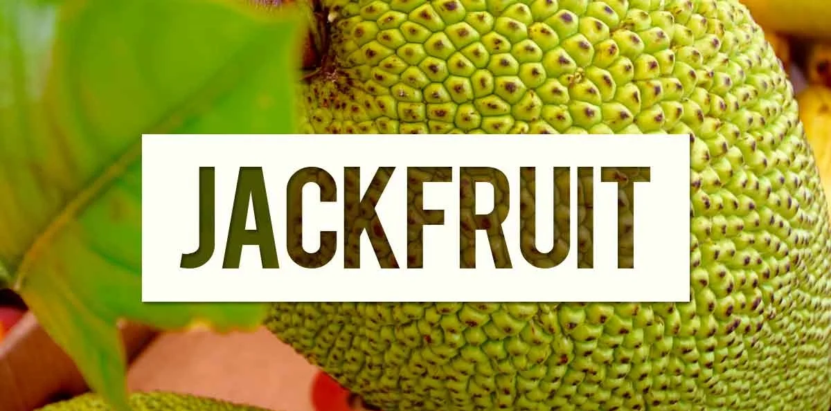 foodfacts-jackfruit-fb.jpg