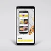 Food Ordering & Delivery mobile app | Best Mobile application development for restaurants provided by Protolabz eServices