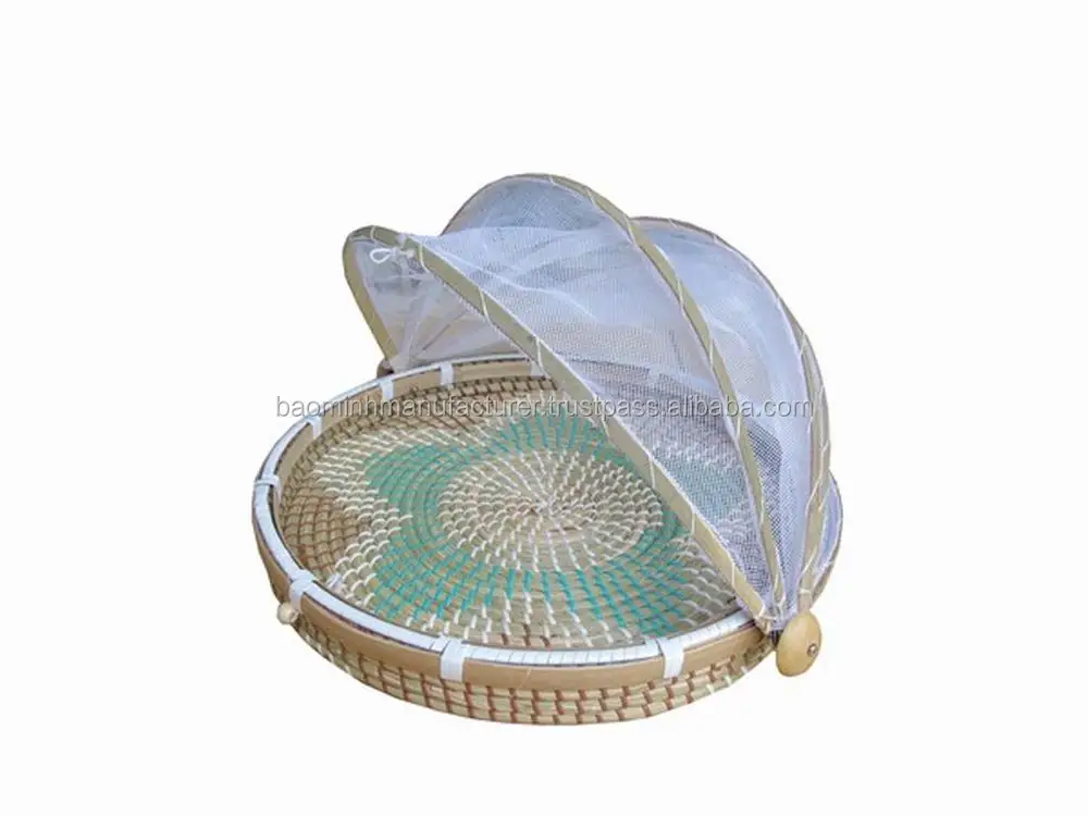 Resize of BMSEA (441)