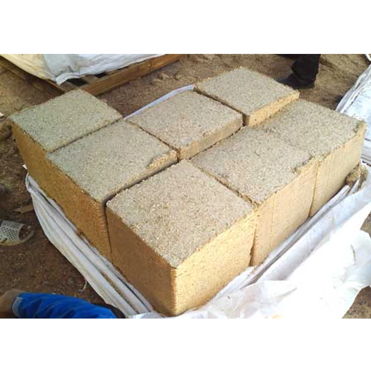 sugar cane bagasse (2).jpg
