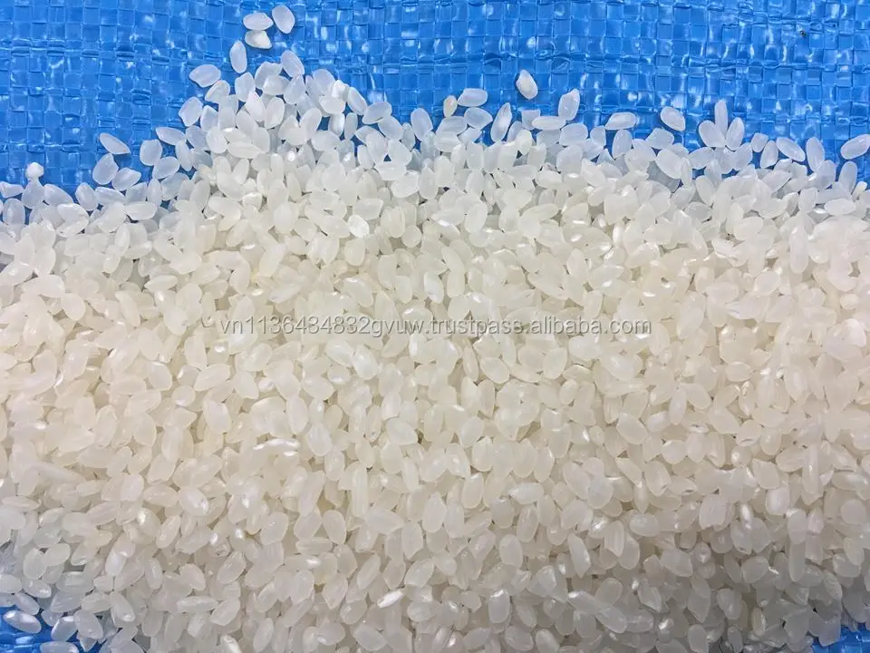 JAPONICA 2% BROKEN 6.jpg