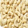 Cheap Raw Cashew Nut/ Cashew Nuts W180 W240 W320 W450/ Vietnam Certified WW320 Dried Cashew