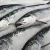 /product-detail/fresh-frozen-salmon-fish-fillets-50034532940.html