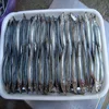 /product-detail/frozen-anchovy-fish-62007809877.html