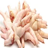 /product-detail/frozen-chicken-feet-buyers-for-taking-halal-chicken-feet-at-best-price--62002930912.html