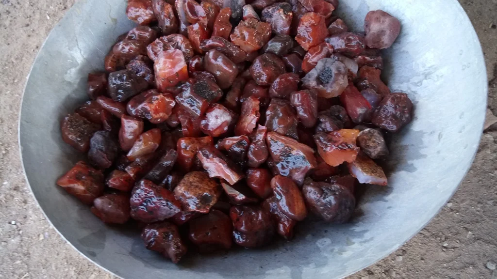 carnelian pices