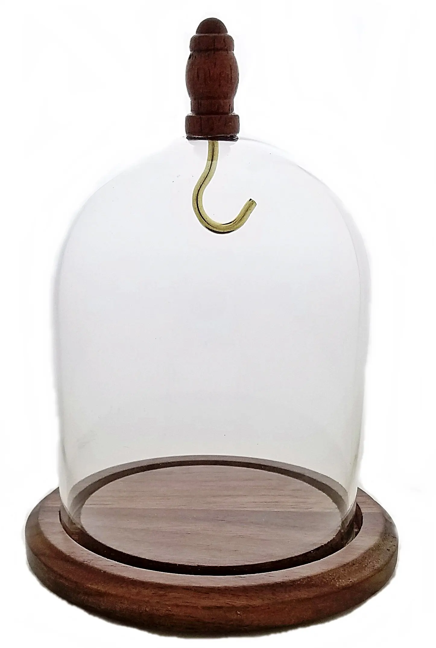 pocket watch stand with glass dome