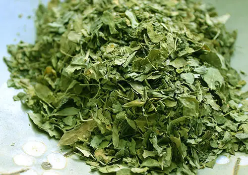 dry-moringa-leave-500x500.jpg