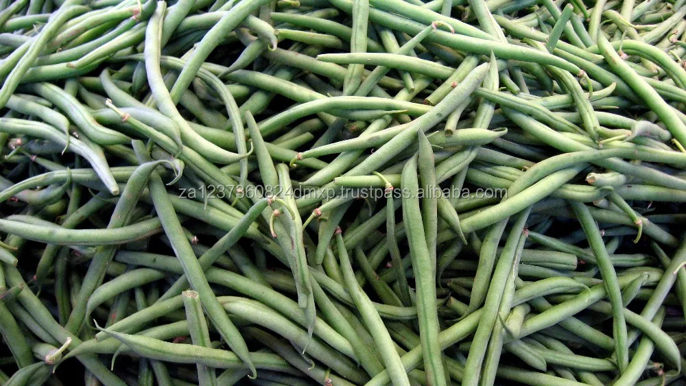 
french cut green beans in brine 