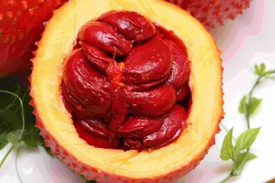 Powerful Gac Fruit, Gac fruit from Vietnam with best quality