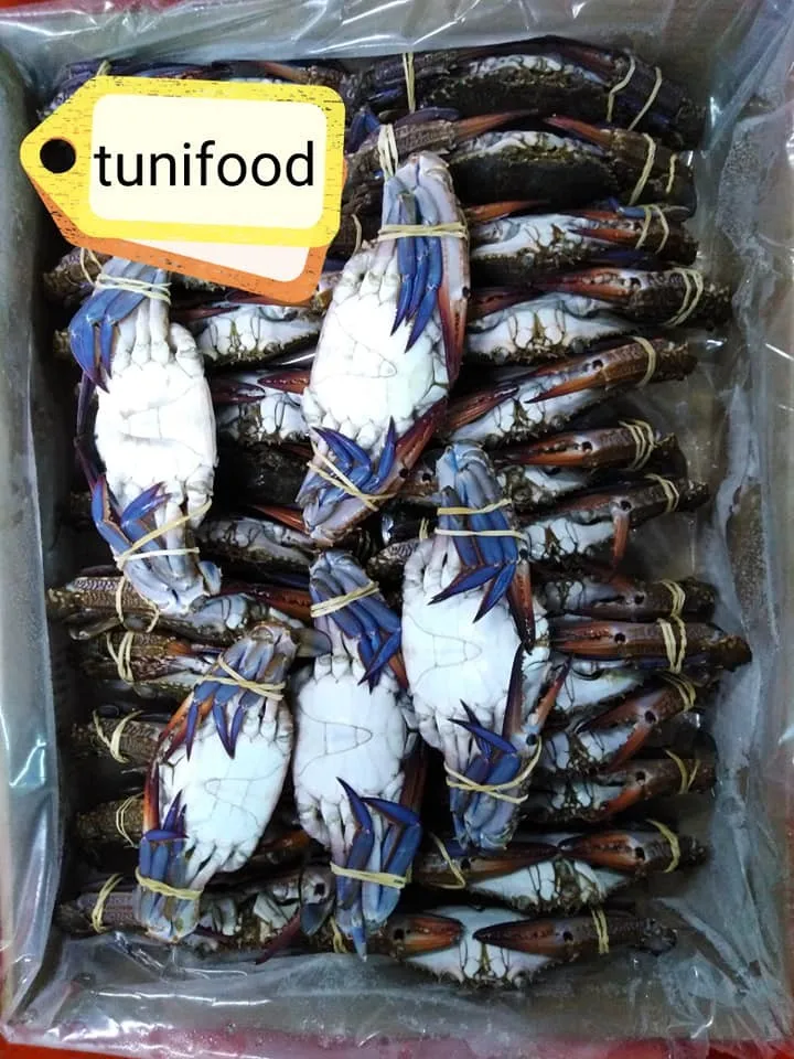blue crab