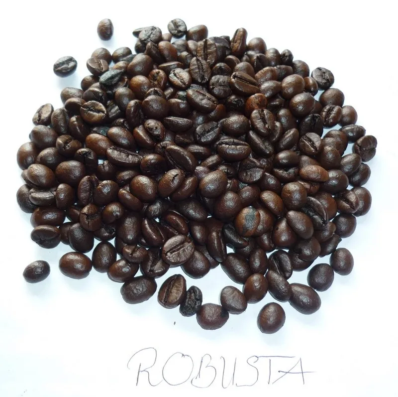 High Quality Roasted Robusta Coffee Bean Buy Roasted Coffee Beans