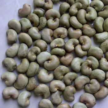 Raw Cashew Nut 2018 Crop