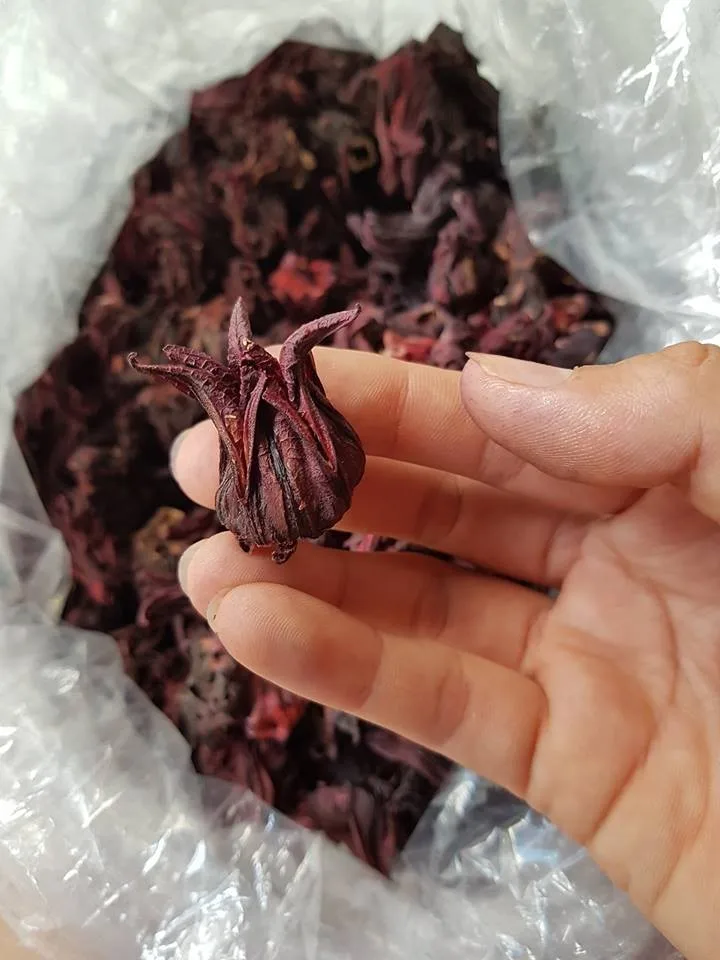 High Quality Dried Hibiscus Flowers/bulk Hibiscus Flowers Cut & Sifted
