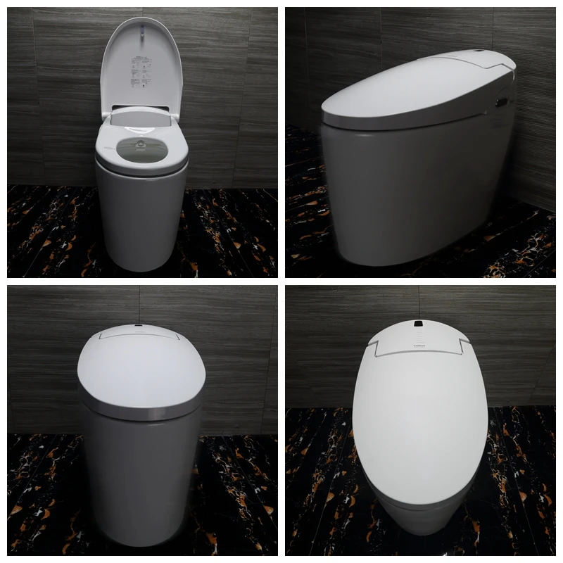 Coma S-Trap Dual-Flush Energy-Saving Automatic Electric Wc Toilets