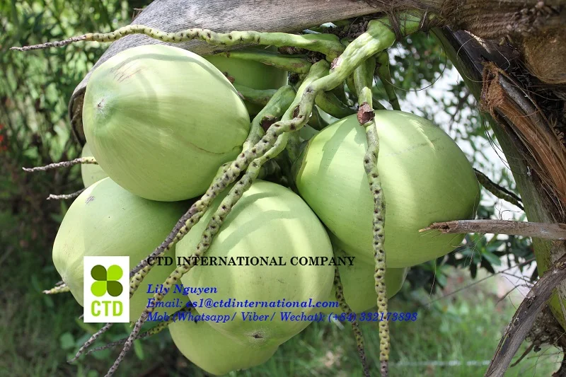 Fresh (40) - Copy.jpg