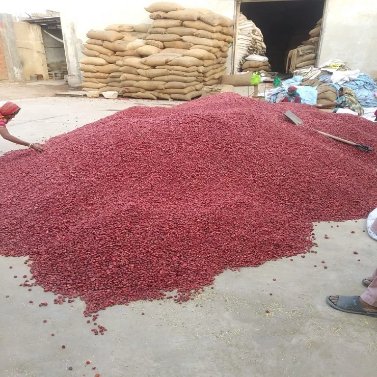 
Red Chili Dundicut Whole Round Stemless 