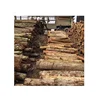 WOOD LOG ACACIA WOOD LOG LOW PRICE FOR EXPORT