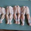 Frozen Frog Legs Available Round the Year At Competitive Prices