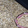 Spruce Wood Pellet Pine Oak, Beech and Spruce Wood Pellets 6mm