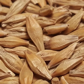 malted barley price