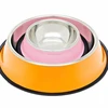 Ski Group Of Stainless Steel Dog Product Pet Bowl Feeder