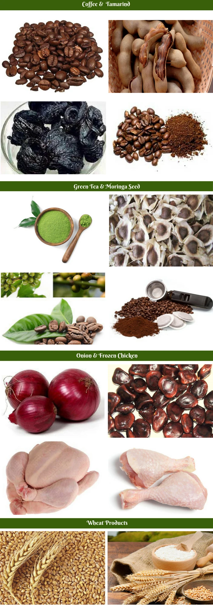 Inidan Asset (3).jpg