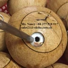 EASY TO OPEN FRESH YOUNG COCONUT/RING PULL COCO/MS NANCY +84 377 518 917