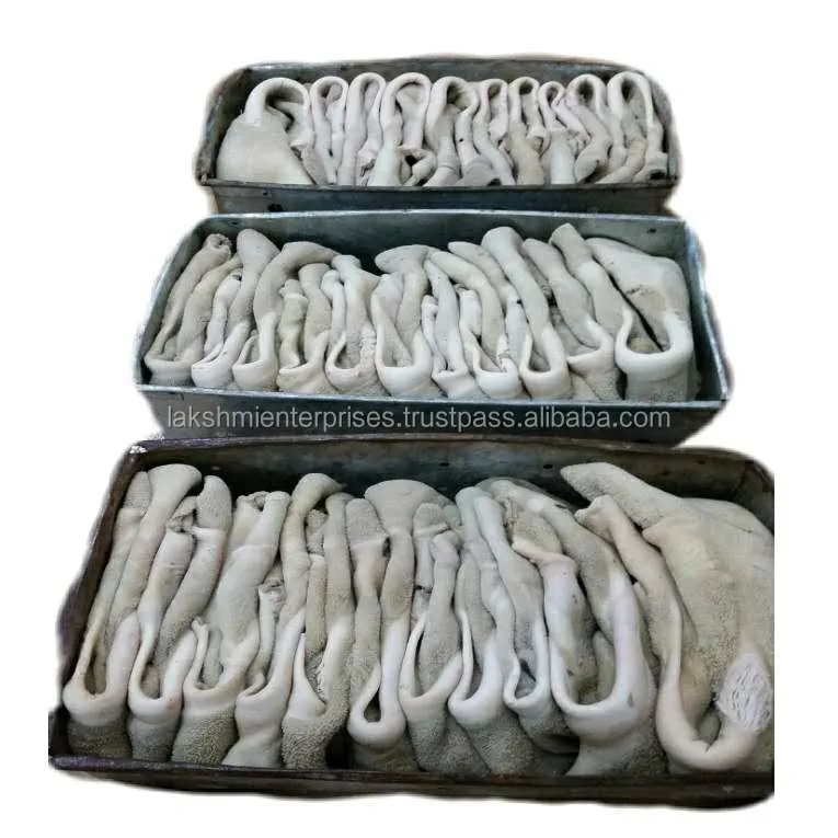 For Sell Frozen Beef Tripe Wholesale,Beef Tripe Suppliers Buy Frozen