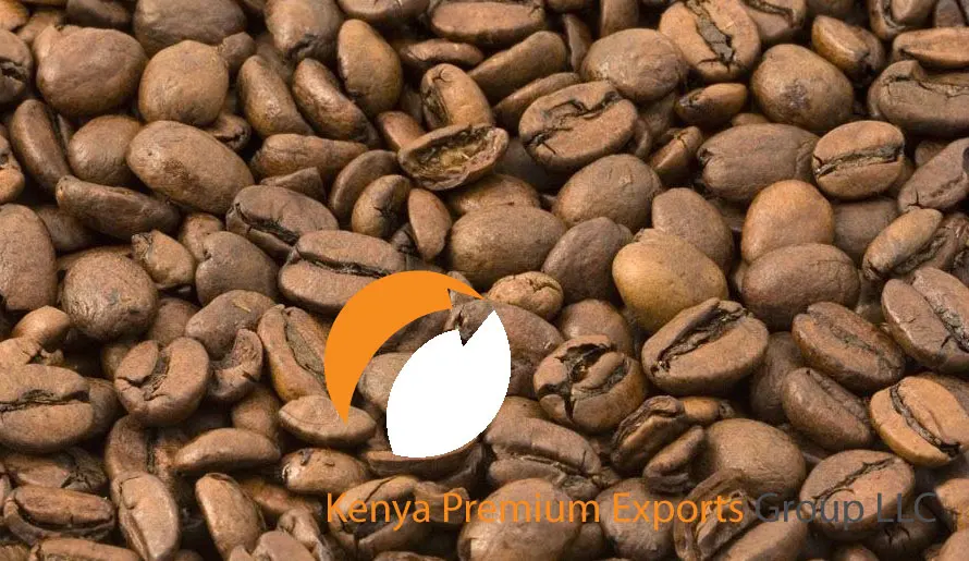 coffee bean exporters