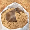 cattle feed cheap price