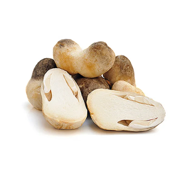 Straw Mushroom Supplier,Trader,Exporter, Vietnam