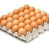fresh egg specifications