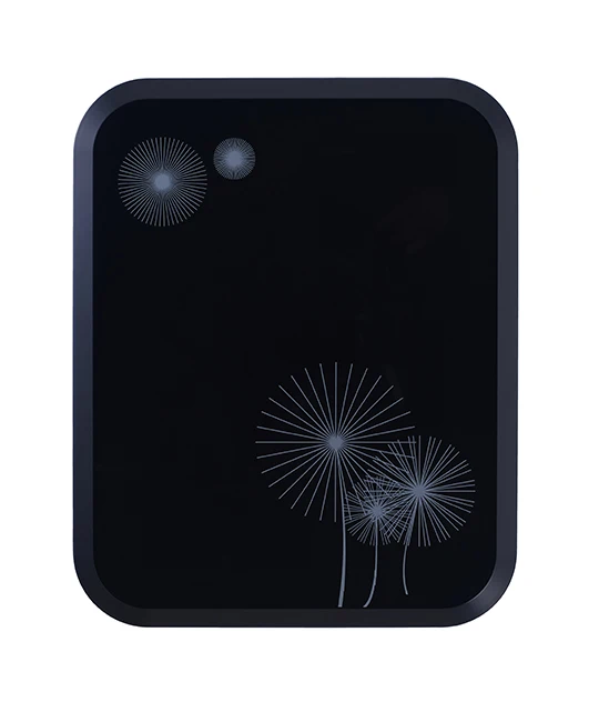 DWP-401N black (2) copy