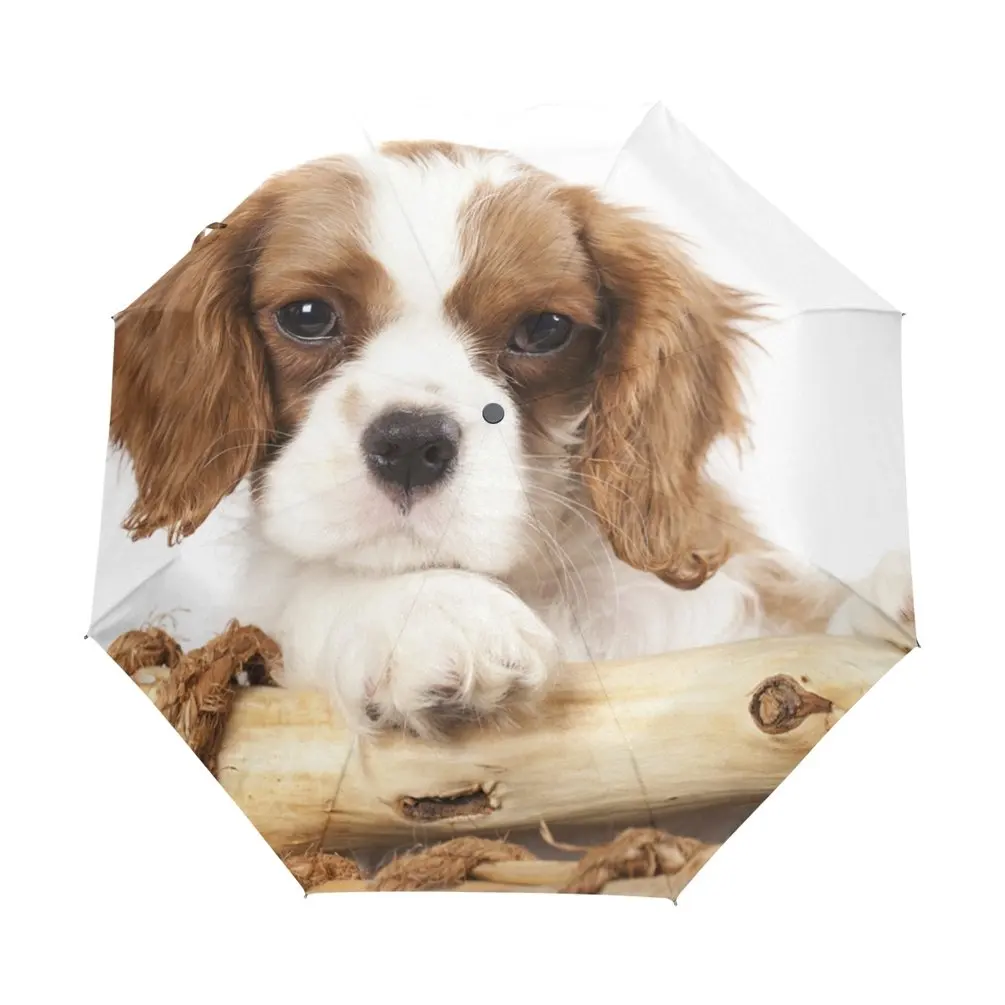 King Charles Cavalier Spaniel Custom Automatic Foldable Umbrella