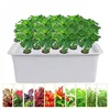 Shenzhen OEM mini portable indoor plant hydroponic growing systems plant grow led light kit for home