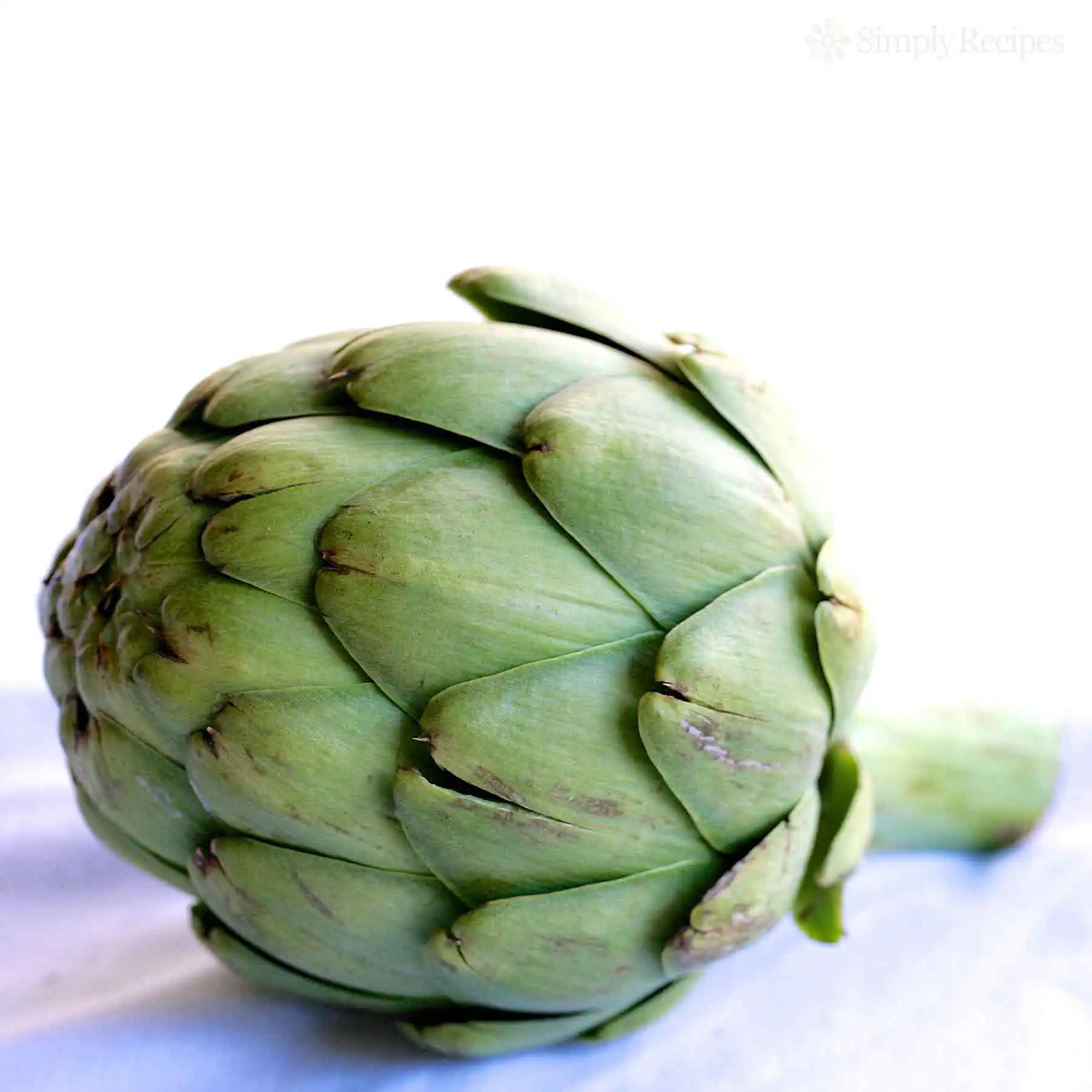 globeartichoke图片