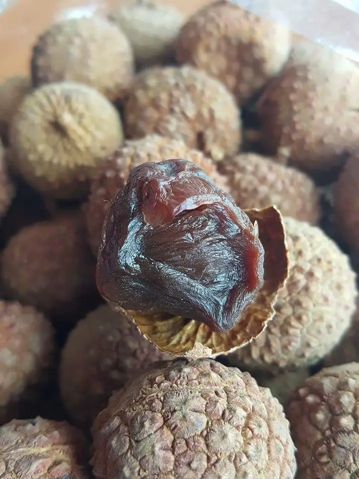 Fresh Lychee Fruit Canned/ Fresh Lychee Fruit (ms.holiday Whatsapp +84