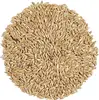 /product-detail/best-quality-canary-seed-for-sale-62007951568.html
