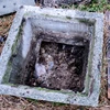 Bioclean Septic - Powerful Biological Product for small septic tank