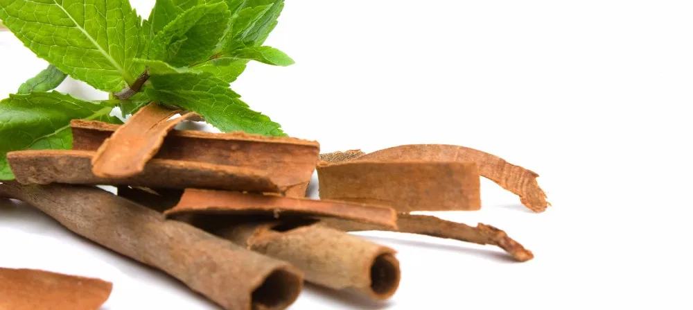 cassia cinnamon specification