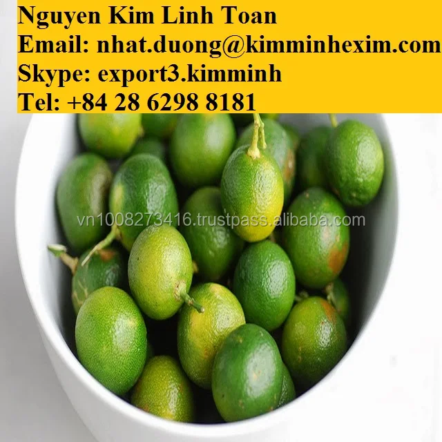 Calamansi Concentrate Buy Calamansi Concentrate,Calamansi,Calamansi